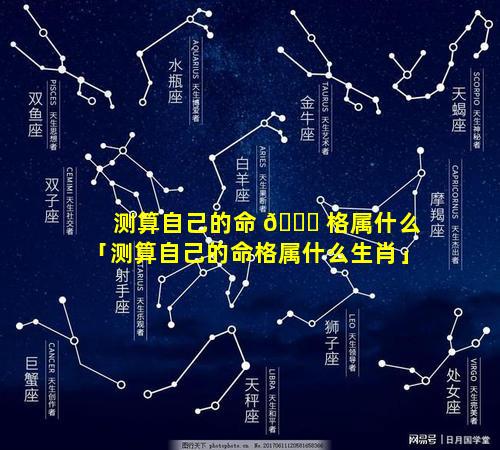 测算自己的命 💐 格属什么「测算自己的命格属什么生肖」
